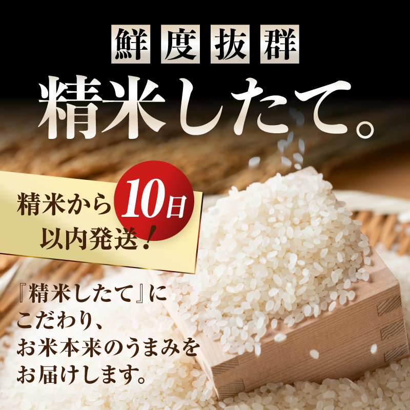 3人に1人がリピーター!☆全2回定期便☆ 岩手ふるさと米 10kg(5㎏×2)×2ヶ月 令和7年産 一等米ひとめぼれ 東北有数のお米の産地 岩手県奥州市産【配送時期に関する変更不可】 [U0161]