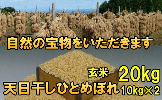 天日干しひとめぼれ 令和7年産 玄米20kg [AC052]
