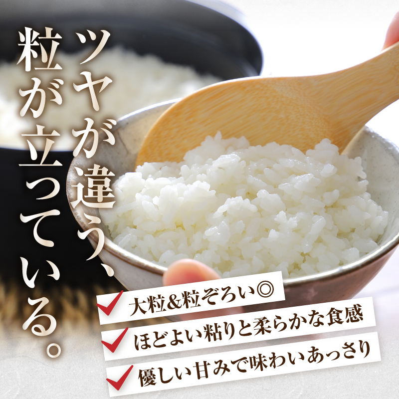岩手ふるさと米 5kg×6ヶ月 ひとめぼれ 定期便【全6回定期便】【配送時期に関する変更不可】 [U0141]