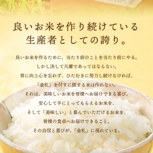 【定期便】江刺金札米ひとめぼれ パック米 5kg×3ヶ月 計15kg 令和7年産 おこめ ごはん ブランド米 精米 白米 [A0036]