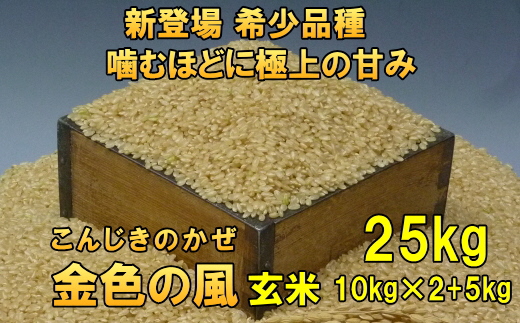 新登場の高級米 令和7年産 岩手県奥州市産 金色の風 玄米25kg [AC035]