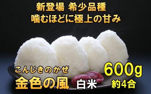 新登場の高級米 岩手県奥州市産 金色の風 白米600g [AC023]