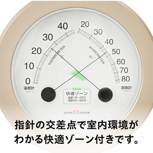 スーパーEX高品質温・湿度計 EX-2738 [AJ081]