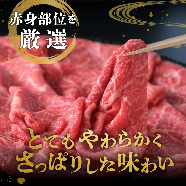 【冷凍】前沢牛 赤身皿盛りすきやき･しゃぶしゃぶ用(500g)【冷凍発送】 柔らかいのにさっぱりした赤身! [BT010]