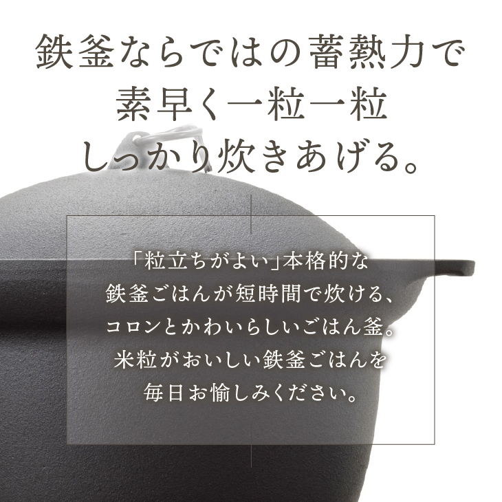 南部鉄器 南部ごはん釜2合炊 [Z0045]