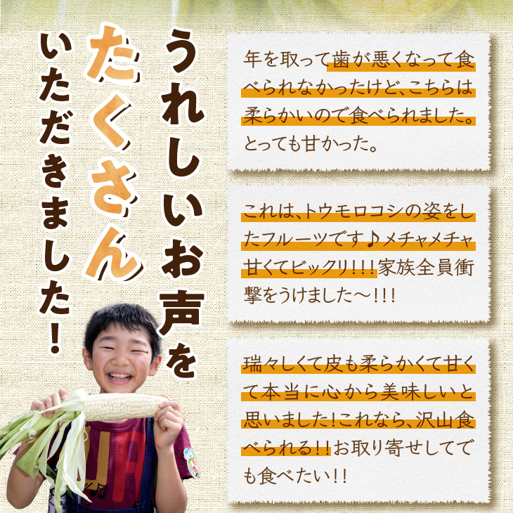 【先行予約】白いとうもろこし奥州ペルル(ホワイトショコラ) 5本【数量限定： 離島配送不可】[T0028]