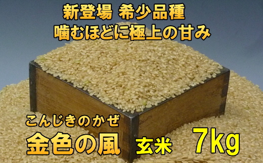 新登場の高級米 令和7年産 岩手県奥州市産 金色の風 玄米7kg [AC028]