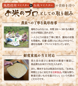 人気沸騰の米 令和7年産 岩手県奥州市産ひとめぼれ 玄米 20kg [AC002]