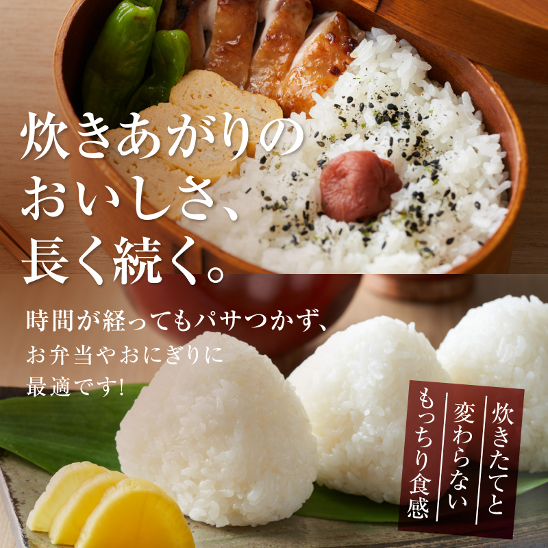 岩手ふるさと米 5kg×6ヶ月 ひとめぼれ 定期便【全6回定期便】【配送時期に関する変更不可】 [U0141]