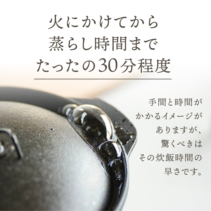 南部鉄器 南部ごはん釜5合炊 [Z0049]