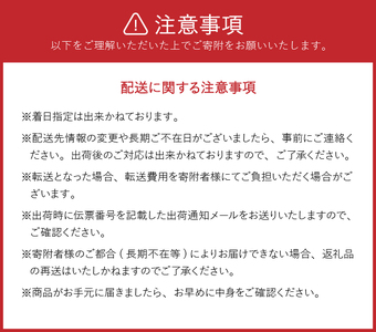 40人前！卵香るそうめん「卵めん」200g×20袋 無添加 岩手名産 素麺 [K0025]