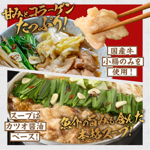 国産牛 もつ鍋 2〜3人前×5パック  [BX001]