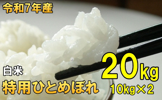 数量限定 令和7年産 岩手県奥州市産 特用ひとめぼれ 白米 20kg 生活応援 緊急支援 [AC039]
