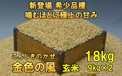 新登場の高級米 令和7年産 岩手県奥州市産 金色の風 玄米18kg [AC033]