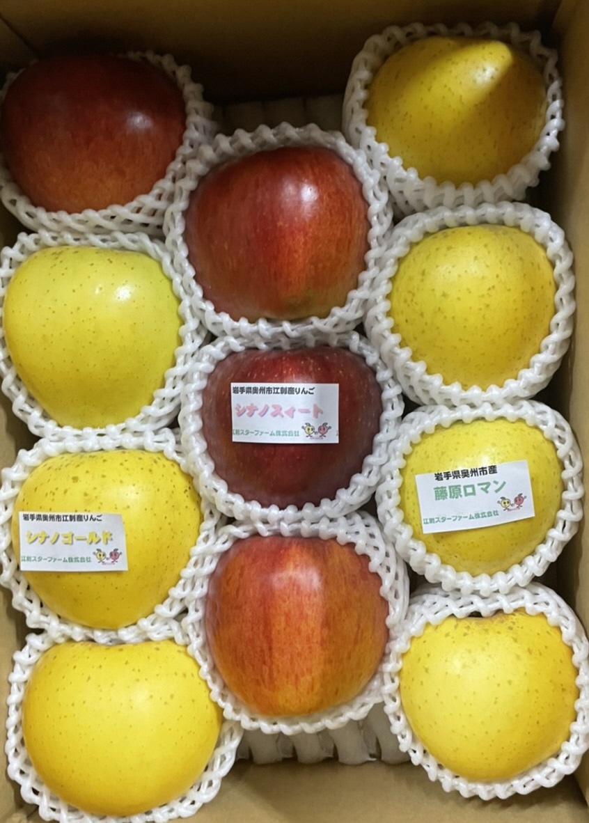 【スターファーム】 こだわり栽培のりんご お任せミックス 厳選品 約3kg 岩手県奥州市産りんご 産地直送 [AY010]