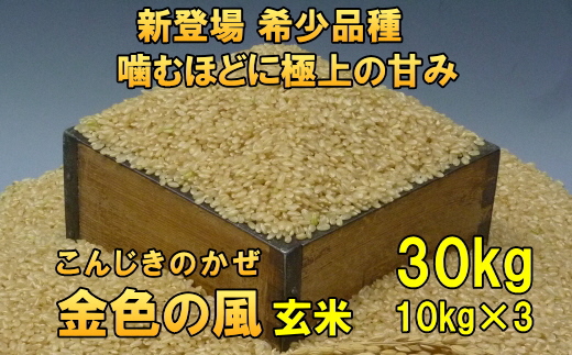 新登場の高級米 令和7年産 岩手県奥州市産 金色の風 玄米30kg [AC036]
