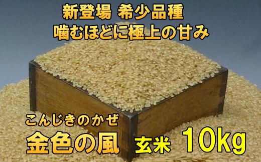 新登場の高級米 令和7年産 岩手県奥州市産 金色の風 玄米10kg [AC030]