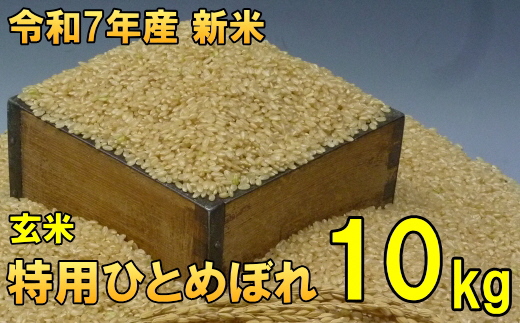数量限定 令和7年産 岩手県奥州市産 特用ひとめぼれ 玄米 10kg [AC040 ]