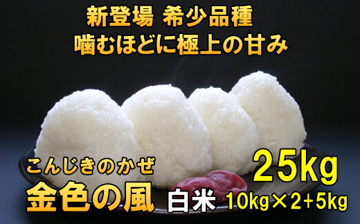 新登場の高級米 令和7年産 岩手県奥州市産 金色の風 白米25kg [AC035]