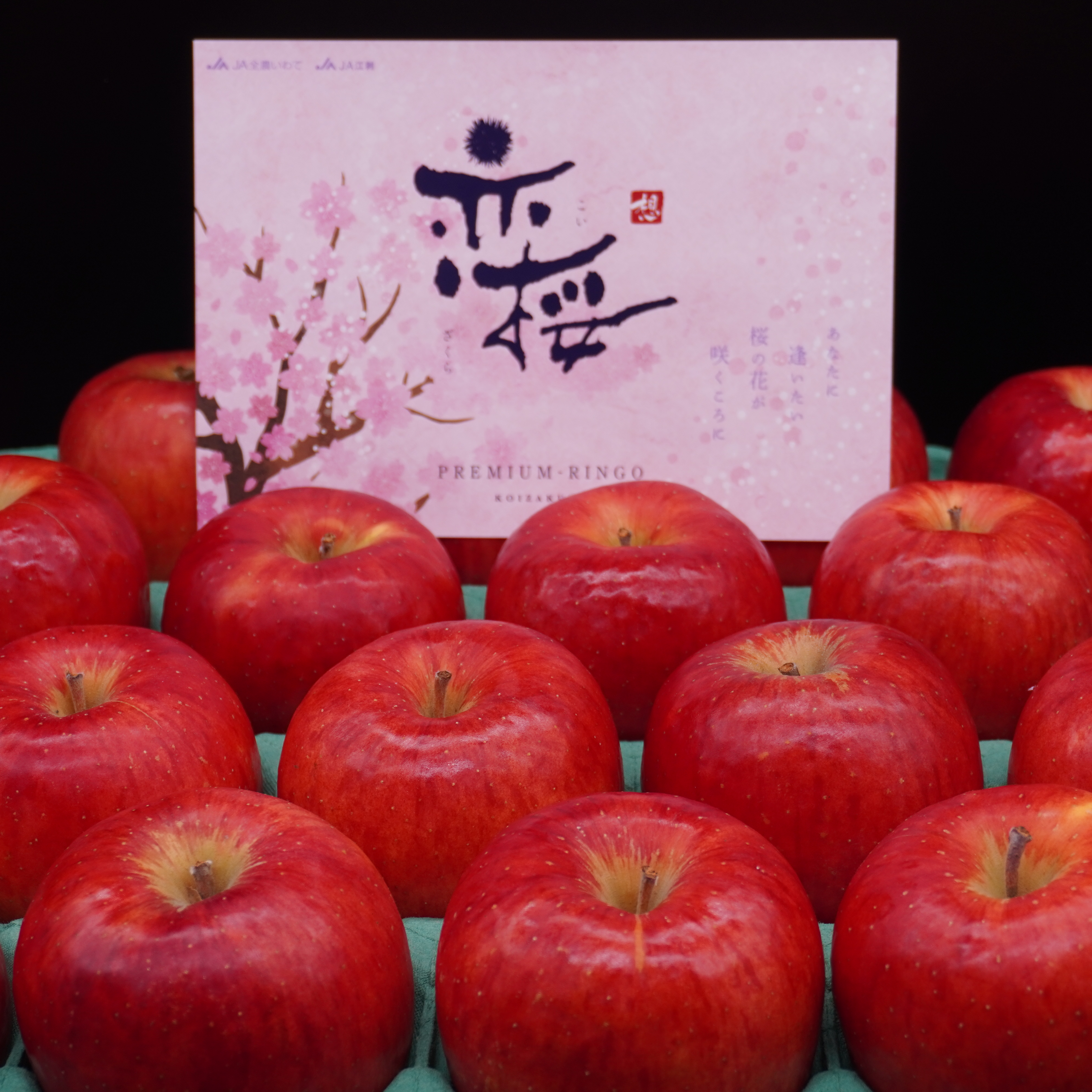 奥州市のりんご定期便・6回(10月～3月) [AQ030]
