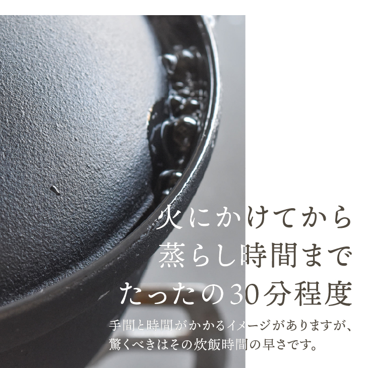 南部鉄器 南部ごはん釜2合炊 [Z0045]