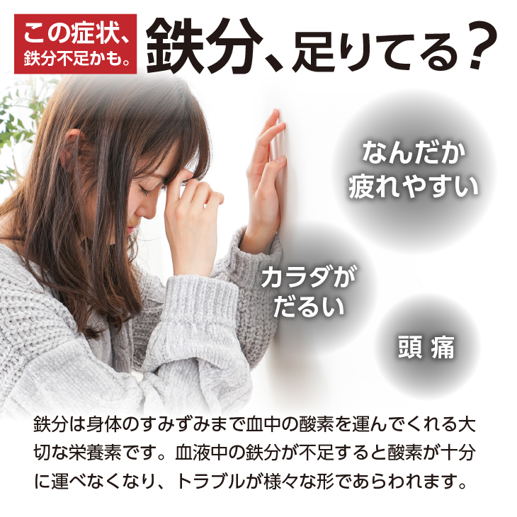 鉄分補給にオススメ！ 南部鉄器 鉄玉子 薄型5個セット [BE008]