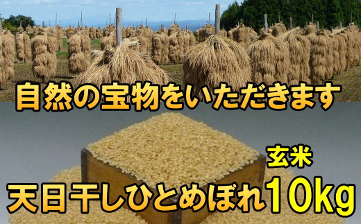 天日干しひとめぼれ 令和7年産 玄米10kg [AC049]