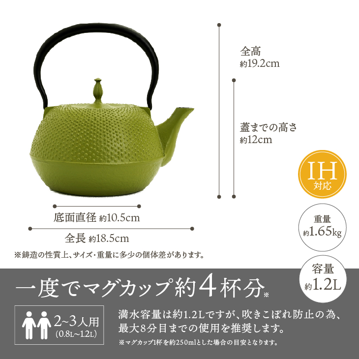 南部鉄器　鉄瓶　末広アラレ緑　1.2L ガスレンジ IH調理器 伝統工芸品 鉄分補給 使いやすい 人気 やかん ケトル キッチン用品 日用品 雑貨 [BS028]