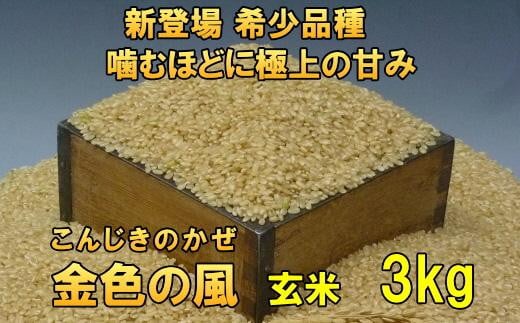 新登場の高級米 岩手県奥州市産 金色の風 玄米 3kg [AC026]