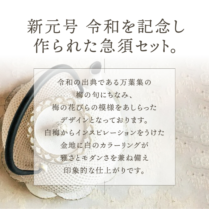 南部鉄器 急須 令和あられ急須 鍋敷きセット 0.5L 【及富作】 伝統工芸品 キッチン用品 食器 日用品 雑貨 [AK001]