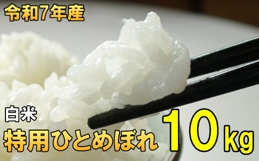 数量限定 令和7年産 岩手県奥州市産 特用ひとめぼれ 白米 10kg [AC040]