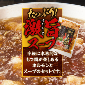 国産牛 もつ鍋 2〜3人前×5パック  [BX001]