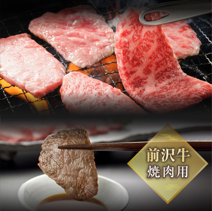  前沢牛入りハンバーグ(5個)と前沢牛焼肉用500gの詰め合わせ [ME001]