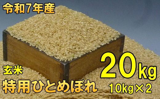 数量限定 令和7年産 岩手県奥州市産 特用ひとめぼれ 玄米 20kg 生活応援 緊急支援 [AC039]