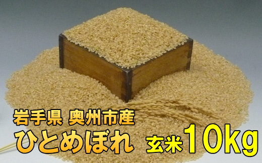 人気沸騰の米 令和7年産 岩手県奥州市産ひとめぼれ 玄米 10kg [AC021]