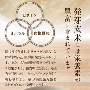 有機発芽玄米あま酒 濃縮タイプ 300g×10本 [AD004]