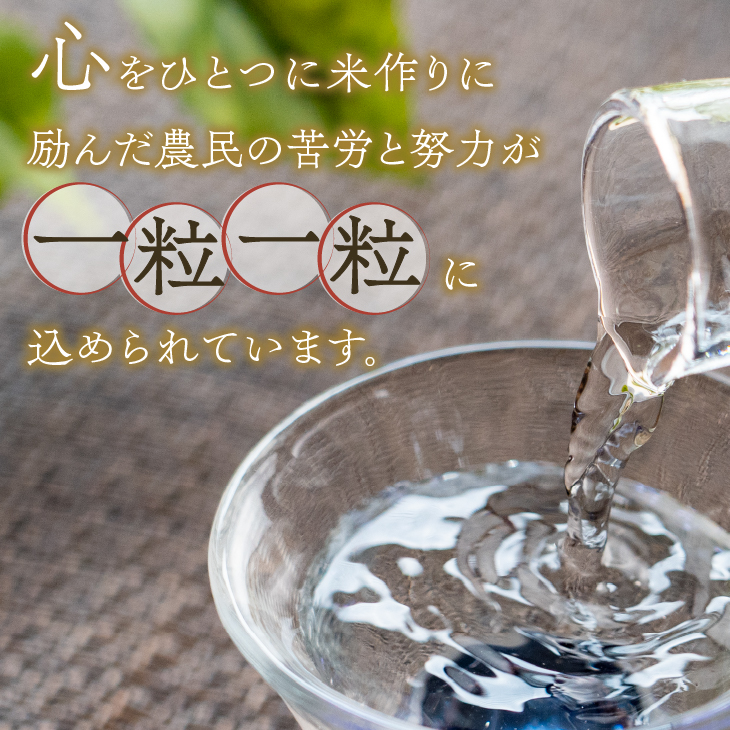  日本酒　粒々一心 15度　720ml [A0066]