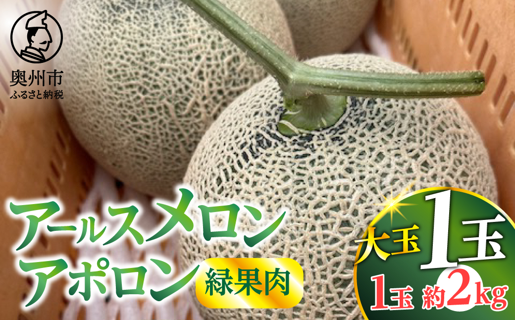 アールスメロン アポロン(緑果肉) 大玉1個 【数量限定】[CL003]