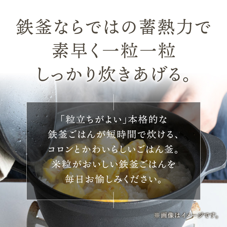 南部鉄器 南部ごはん釜5合炊 [Z0049]