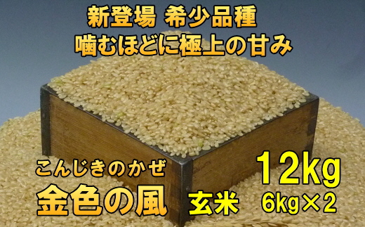 新登場の高級米 令和7年産 岩手県奥州市産 金色の風 玄米12kg [AC031]