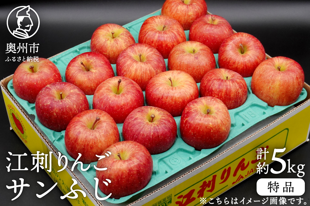 江刺りんご サンふじ 約5kg(14~20玉) [AQ011]