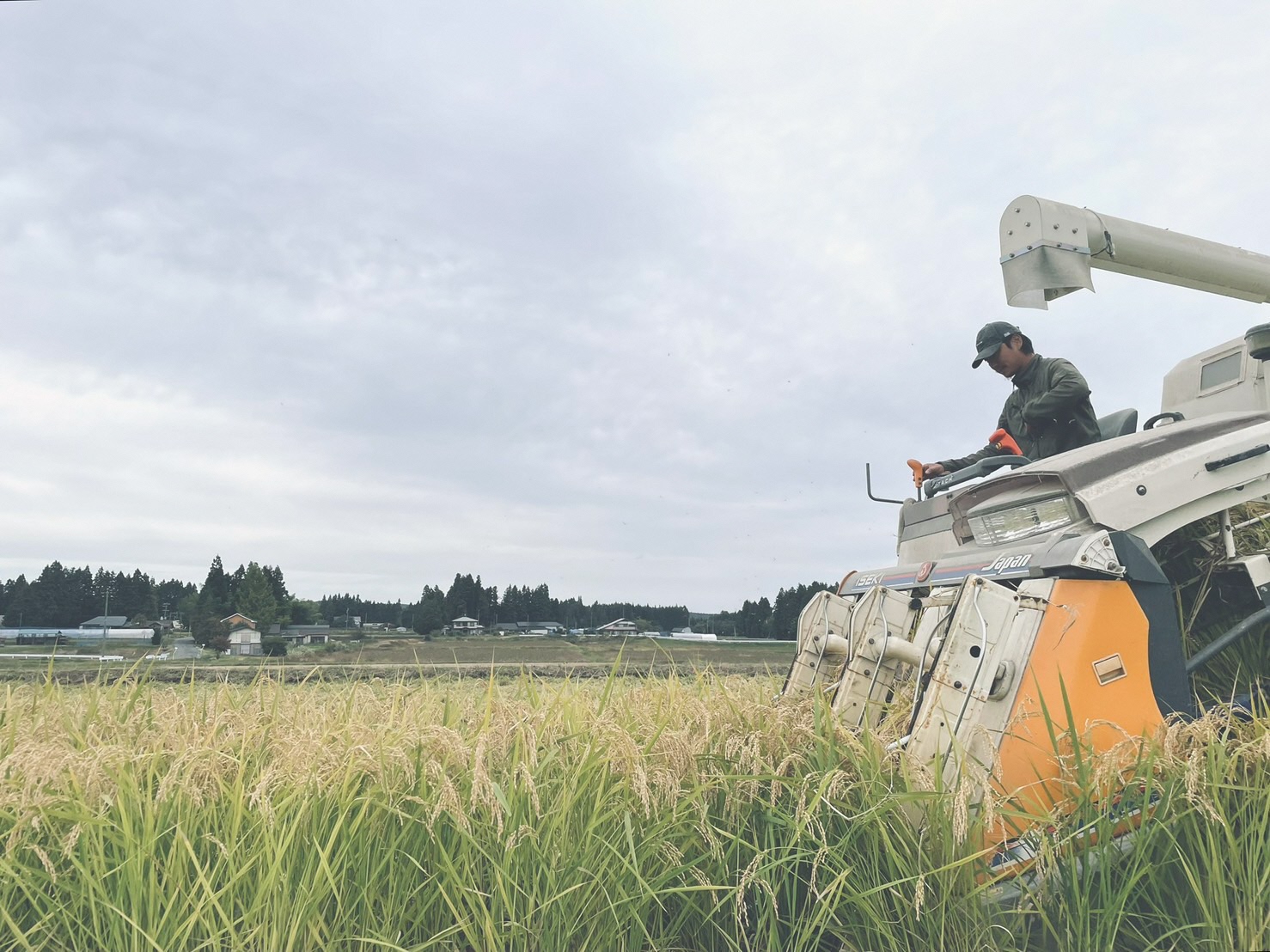【令和8年産】特選ひとめぼれ玄米30kg [CP001-R8] 