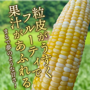 【先行予約】とうもろこし ドルチェドリーム10本 【数量限定】 2026年7月中旬から出荷 離島配送不可 [T0017]