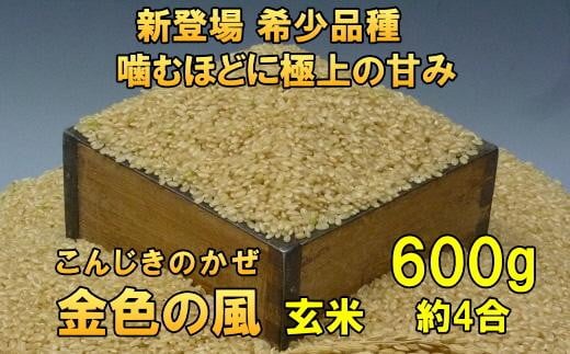 新登場の高級米 岩手県奥州市産 金色の風 玄米600g [AC023]