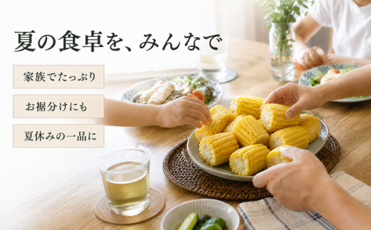 ãå
è¡äºçŽããšããããã ãŽãŒã«ãã©ãã·ã¥ 2Lãµã€ãº çŽ5kg çŽ13æ¬ å²©æç岩æçºç£ ã¹ã€ãŒãã³ãŒã³ ããŠã¢ãã³ã· ãšããã³ ã³ãŒã³ éè å€éè ç£å°çŽé 2027幎çºé