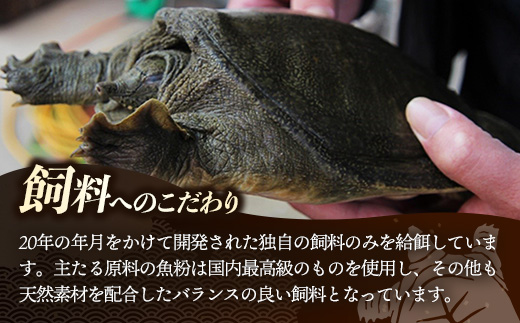 麻åžå°éå±ãã£ãœãã¹ãŒã90猶 ãã£ãœã ã¹ãã㳠猶ã¹ãŒã ãã£ãœãé äŸ¿å© äœ¿ãããã ã¹ãã㯠ã³ã©ãŒã²ã³ ã³ã©ãŒã²ã³ éç ã¹ãŒã è¶ç¢èžã æäº 岩æç 岩æçº ã€ã¯ã¿ã