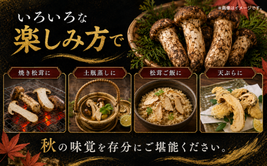 松茸 国産松茸 400g 天然松茸 国産天然松茸 岩手県産松茸 岩手町産松茸 まつたけ マツタケ 天然まつたけ 国産まつたけ 「先行予約」 国産 天然 きのこ 秋の味覚 旬 山の幸 2026年発送 松茸ご飯 松茸ごはん まつたけご飯 焼き松茸 土瓶蒸し お吸い物 茶碗蒸し 天ぷら 炊き込みご飯 産地直送 新鮮 冷蔵 冷蔵配送 ギフト 贈り物 贈答 天然物 キノコ 産直 岩手 希少 芳醇な香り 食感