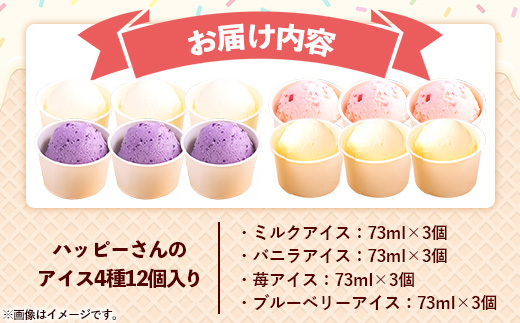 ハッピーさんのアイス 4種類12個入り アイスクリーム カップ スイーツ あいす セット ギフト プレゼント 贈り物 夏 ミルク バニラ ストロベリー ブルーベリー 農場直送 冷凍 岩手県 岩手町　