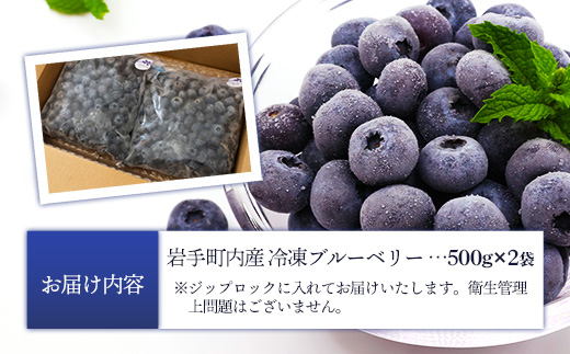 岩手町産】冷凍ブルーベリー 1kg【訳あり】 冷凍 家庭用 大粒 不揃い