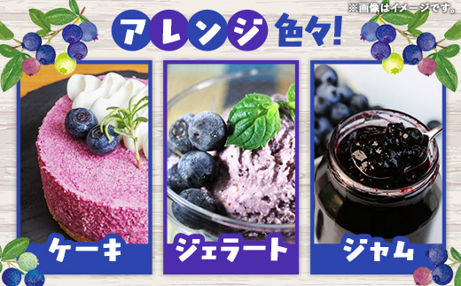 【訳あり加工用】岩手町産冷凍ブルーベリー1kg フルーツ 果物 くだもの おやつ スイーツ デザート ジャム スムージー ヨーグルト お菓子作り 冷凍 訳あり 加工用 業務用 岩手県 岩手町 岩手缶詰